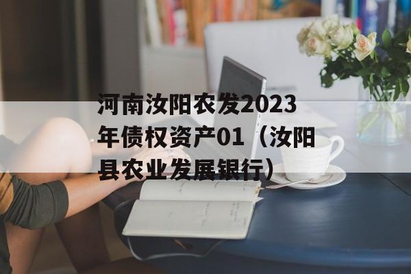 河南汝阳农发2023年债权资产01（汝阳县农业发展银行）