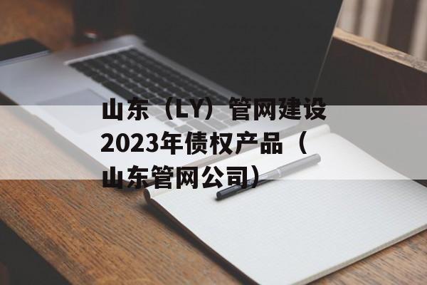 山东（LY）管网建设2023年债权产品（山东管网公司）
