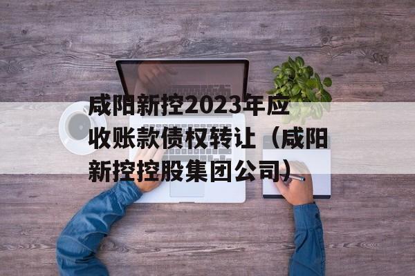 咸阳新控2023年应收账款债权转让（咸阳新控控股集团公司）