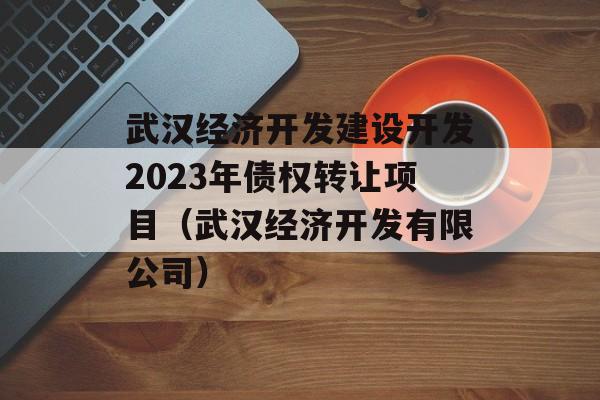 武汉经济开发建设开发2023年债权转让项目（武汉经济开发有限公司）