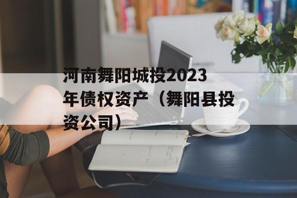 河南舞阳城投2023年债权资产（舞阳县投资公司）