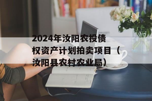 2024年汝阳农投债权资产计划拍卖项目（汝阳县农村农业局）