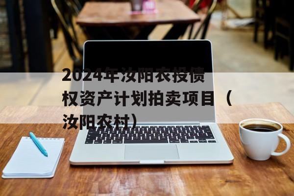 2024年汝阳农投债权资产计划拍卖项目（汝阳农村）