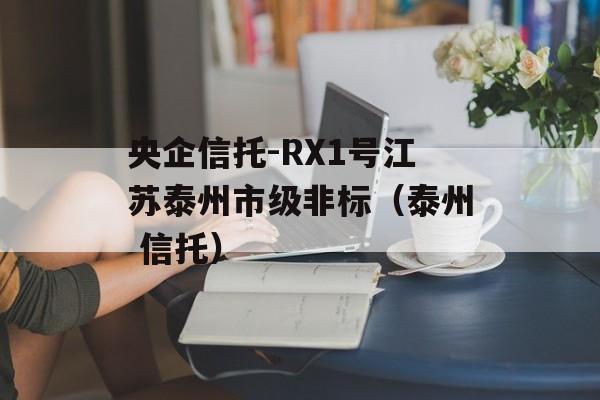 央企信托-RX1号江苏泰州市级非标（泰州 信托）