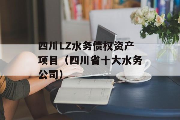 四川LZ水务债权资产项目（四川省十大水务公司）