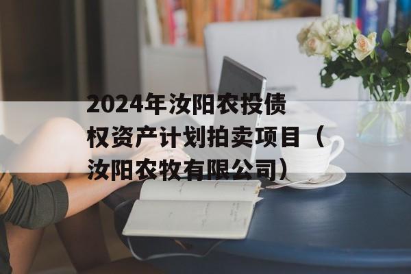 2024年汝阳农投债权资产计划拍卖项目（汝阳农牧有限公司）